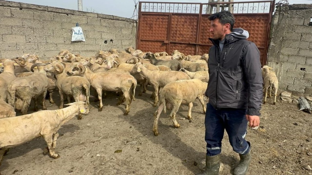 Kurbanlık parasıyla evlenmişti şimdi doğacak bebeği için kullanacak