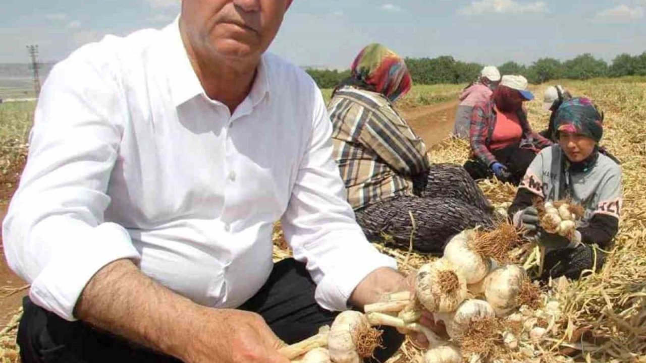 AB Tescilli Araban Sarımsağı dünya devleri arasında 5’inci seçildi