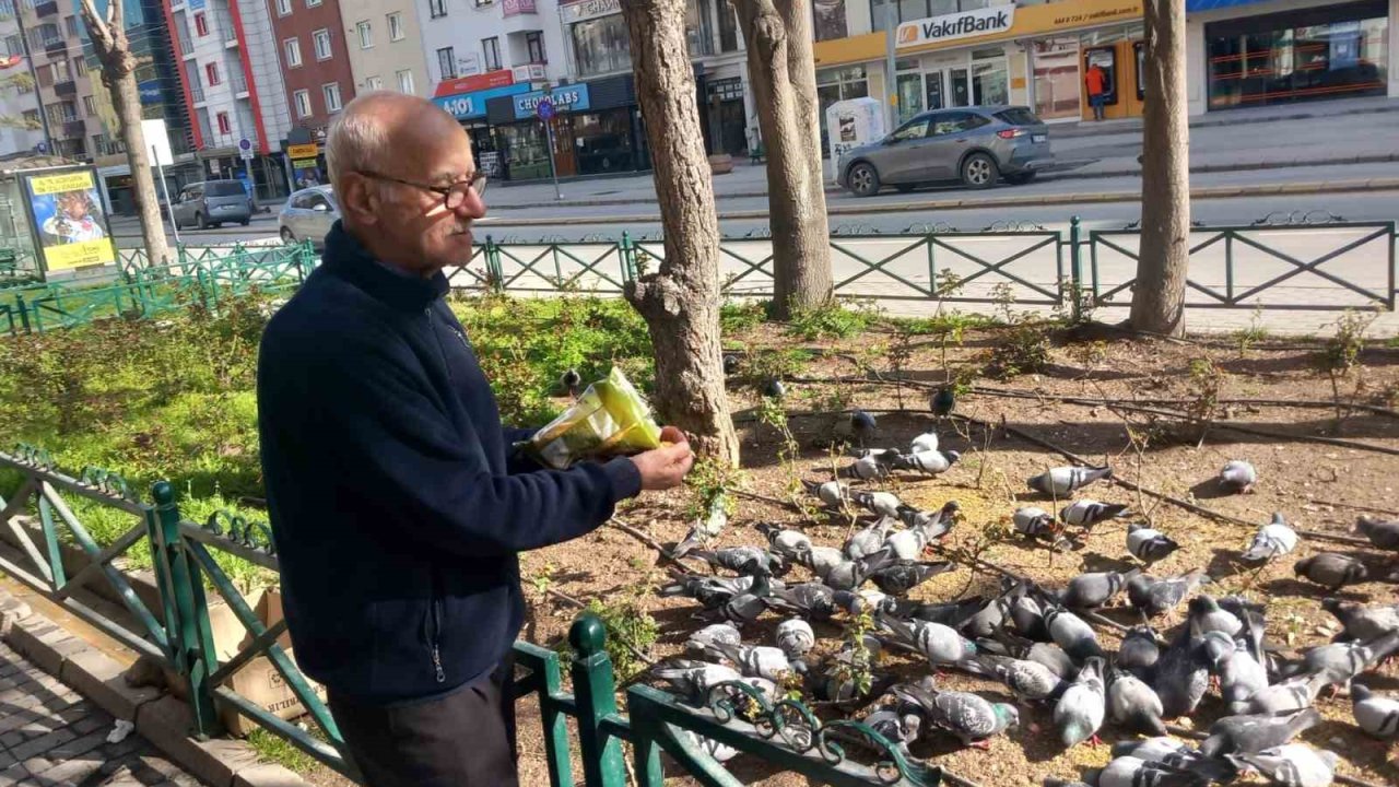 Dükkanının önüne gelen onlarca güvercini doyuruyor