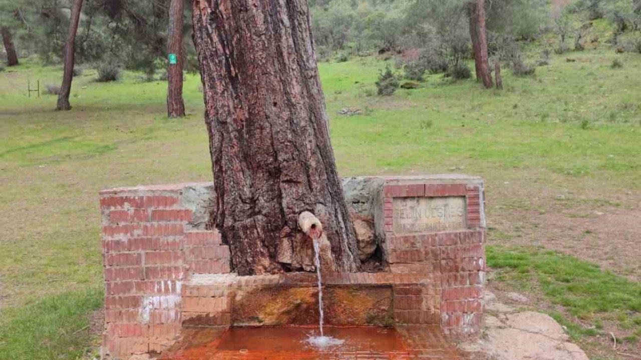 Çeşmeden maden suyu içmek isteyen vatandaşlar Laçin’e geliyor