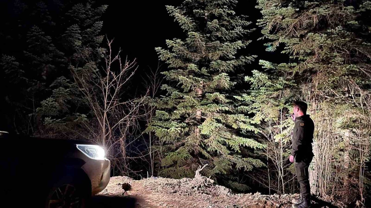 Sinop ormanları 7/24 koruma altında