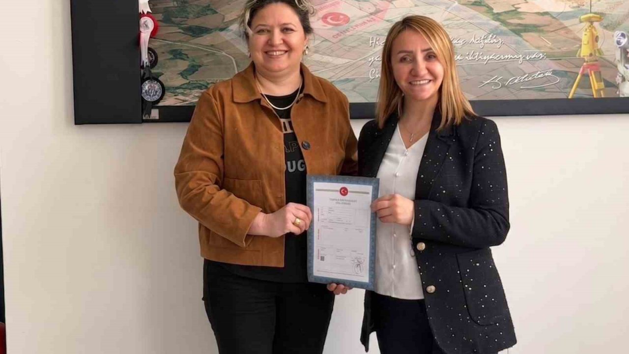 Eski hükümet konağı sosyal yaşam alanına dönüşüyor