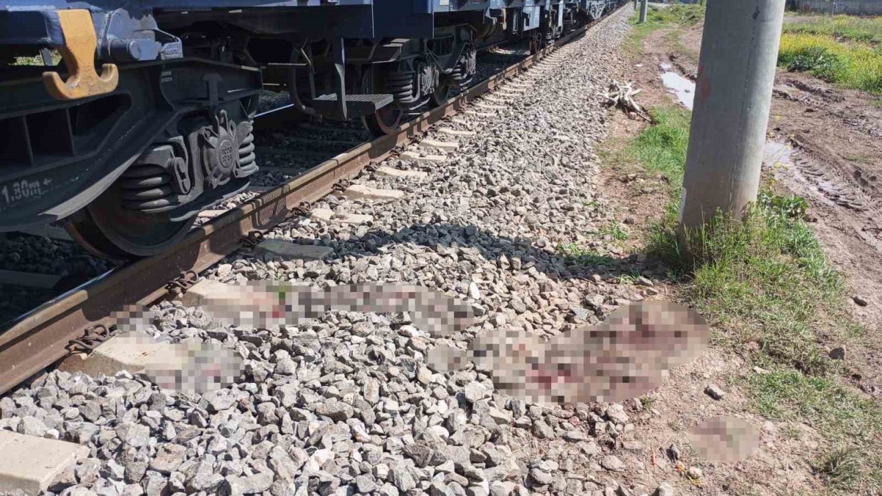 Osmaniye’de yük treninin çarptığı kişi yaralandı