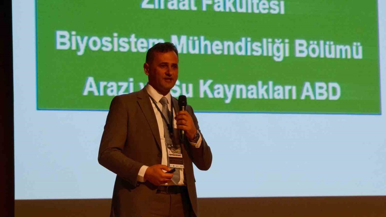 Bir kilogram zeytin için 6798 litre suya ihtiyaç duyuluyor