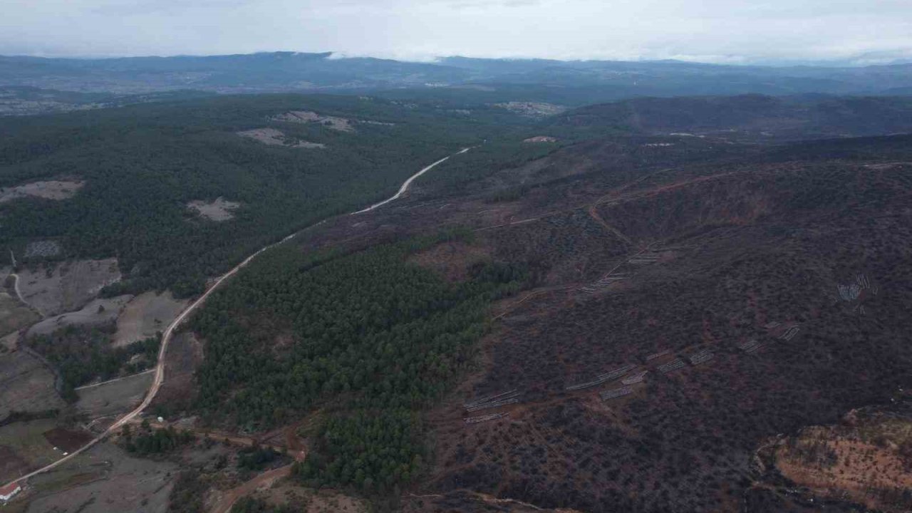Bursa’da tarihin en büyük orman yangınında yaralar böyle sarıldı