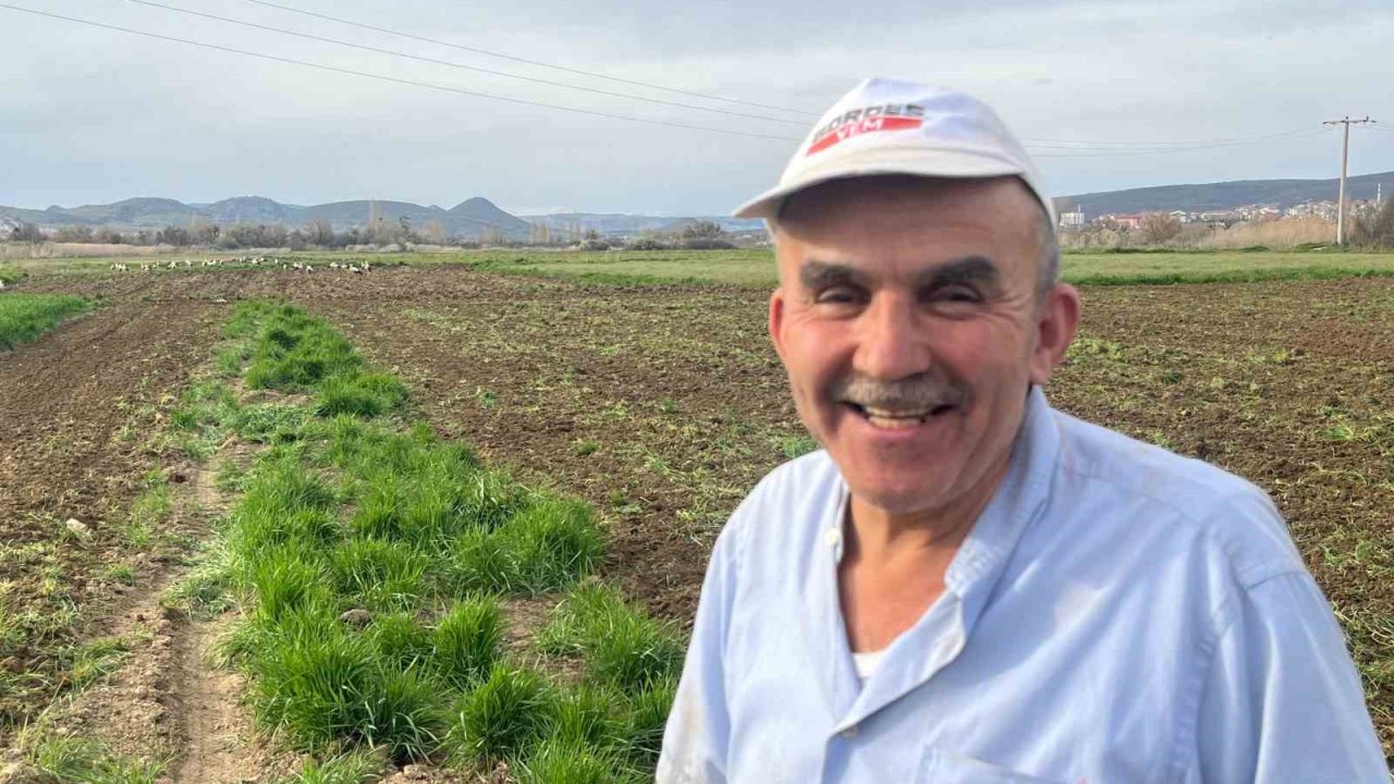 Çiftçinin doğal mesai arkadaşları iş başında