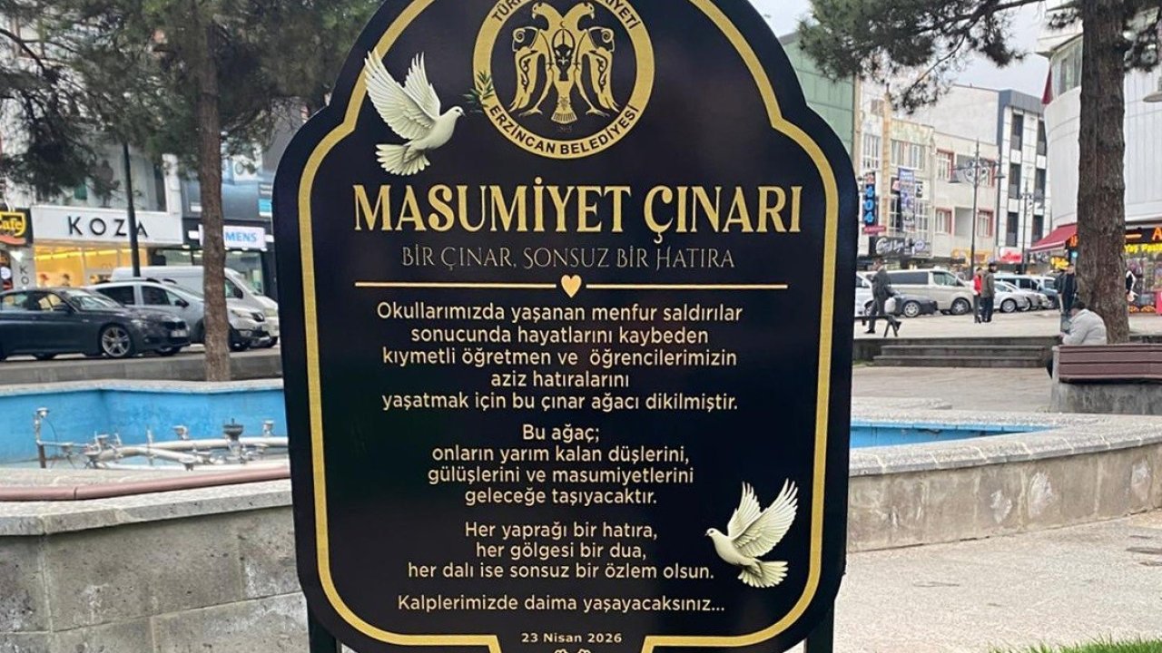 "Masumiyet Çınarları" kaybedilen canların hatırası için dikildi