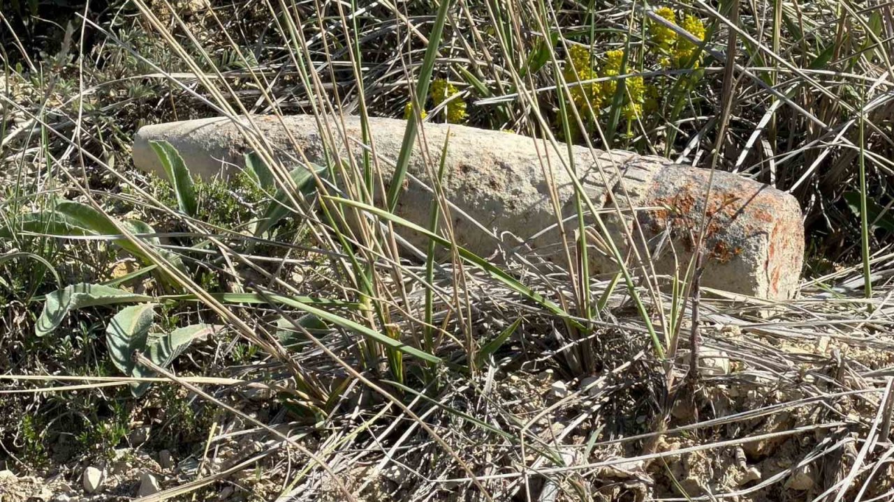 Ankara’da vatandaş mantar ararken patlamamış top mermisi buldu