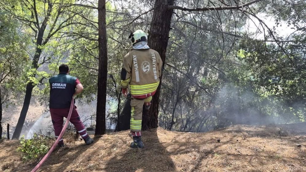 İskenderun’da orman yangını kontrol altına alındı
