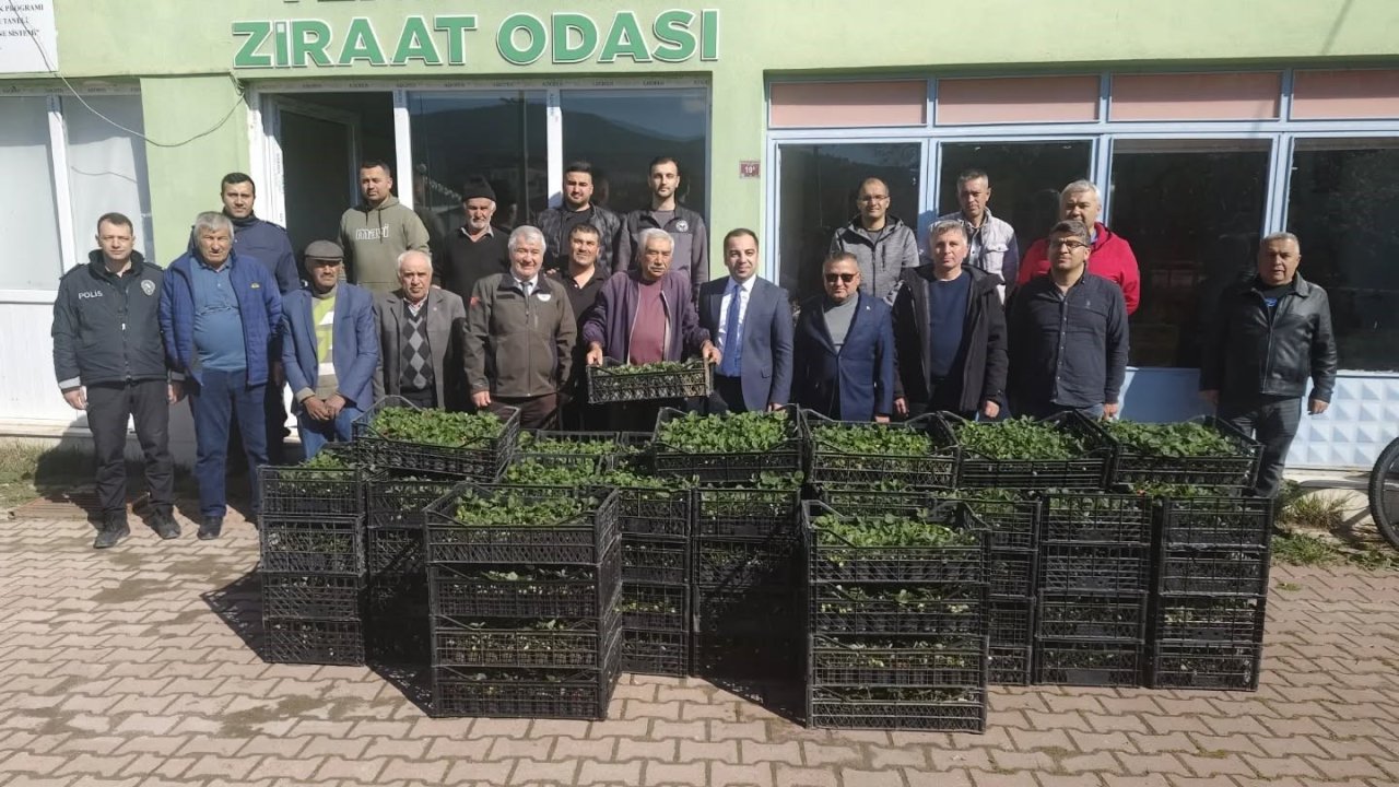 Bilecik’te 8 bin çilek fidesi üreticiyle buluştu