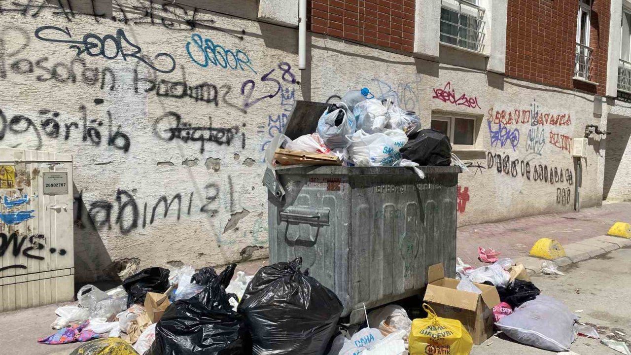 Güllük Mahallesinde yetersiz çöp konteynırı sebebiyle çöpler yollara taştı