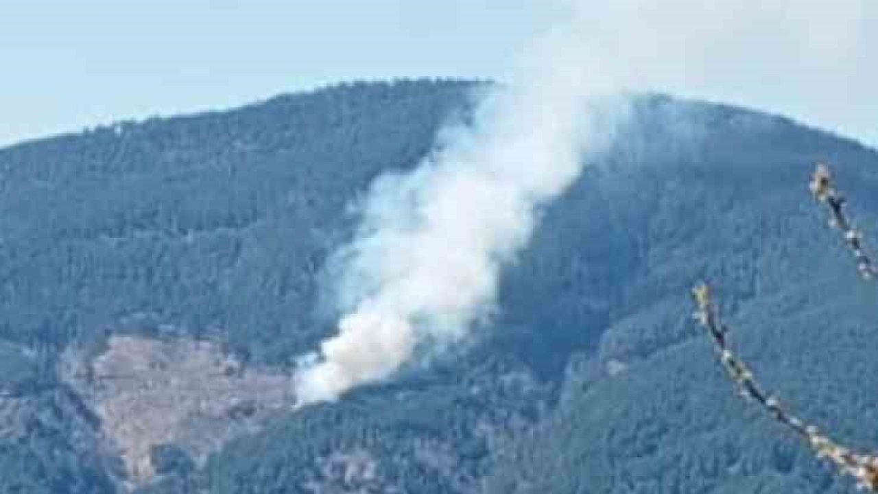 Nazilli’de orman yangını