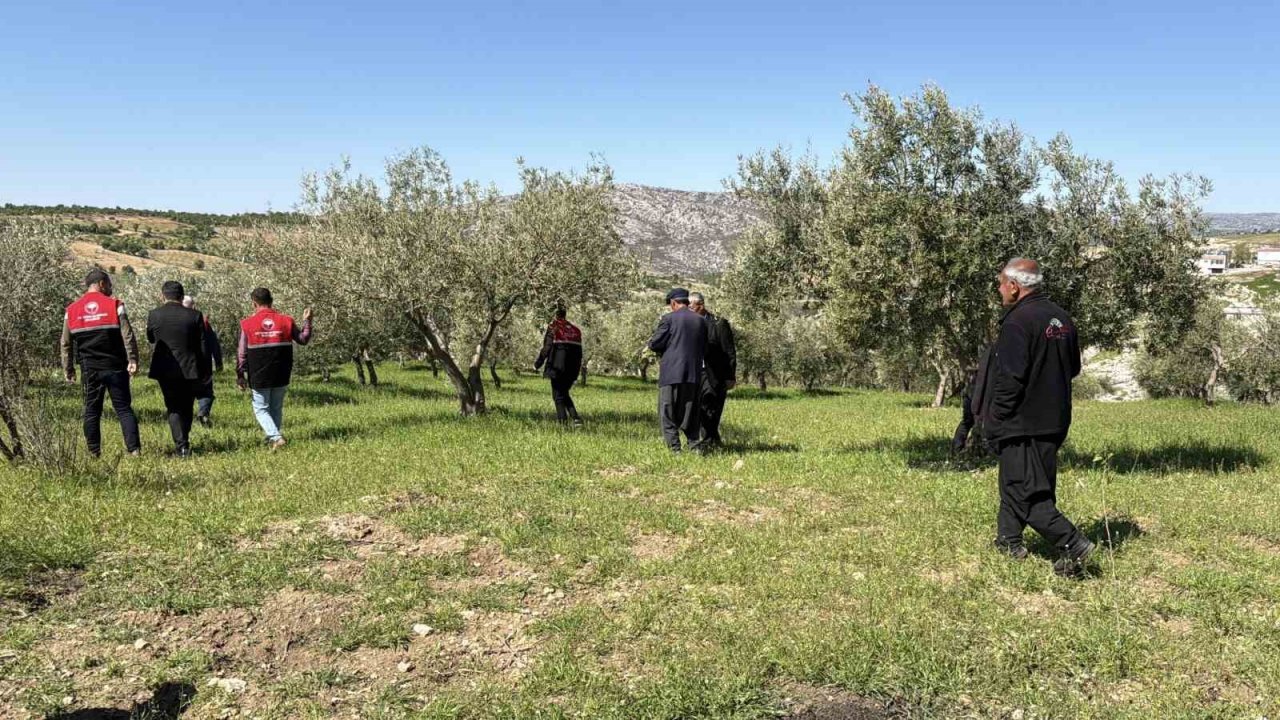 Dolu sonrası hasar tespit çalışmaları başladı