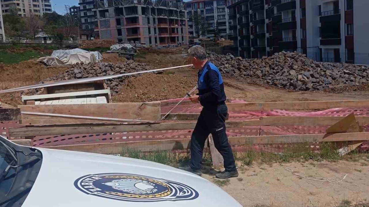 Tunceli zabıtasından çevre temizliği için denetim