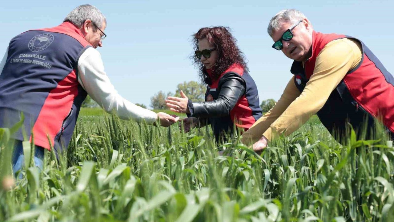 Çanakkale’de ekili ve dikili alanlarda kontroller devam ediyor