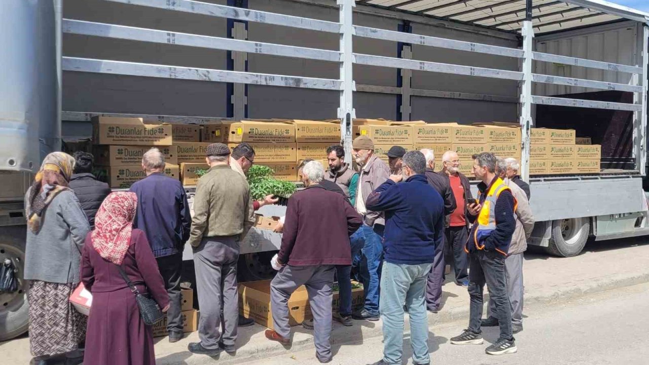 Kastamonu’da çiftçilere 147 bin adet sebze fidesi dağıtıldı