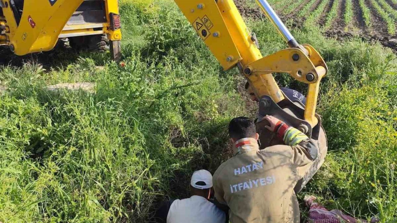 Antakya’da kuyuya düşen büyükbaş hayvan kurtarıldı