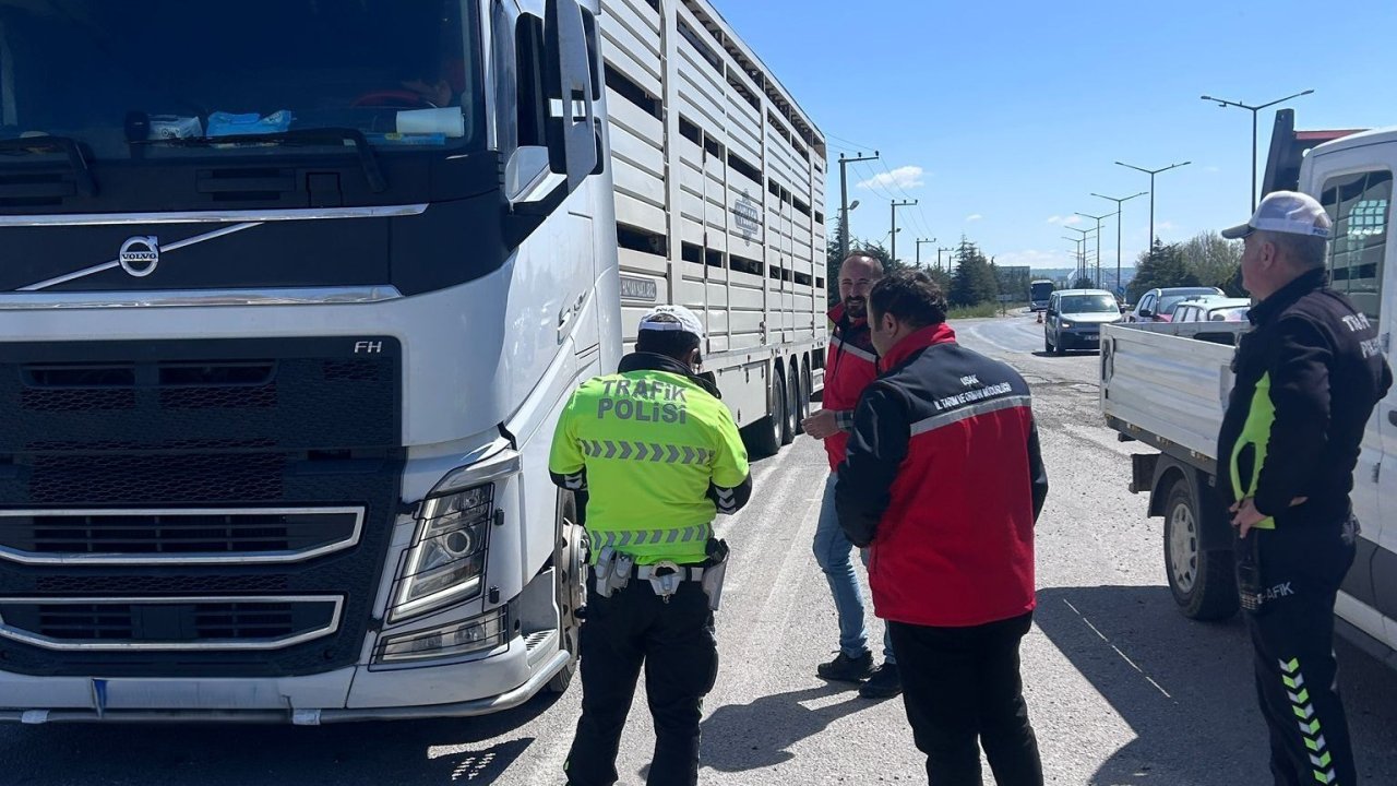 Uşak’ta hayvan sağlığı ve halk sağlığı için denetimler sürüyor