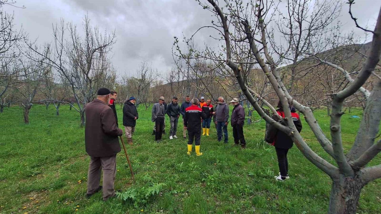 Otlukbeli’nde üreticilere meyve ağaçlarında budama eğitimi