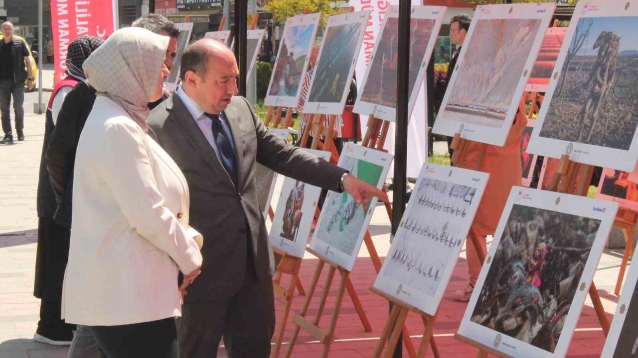 Bereketin Yüzyılı fotoğraf sergisi Düzce’de vatandaşlarla buluştu