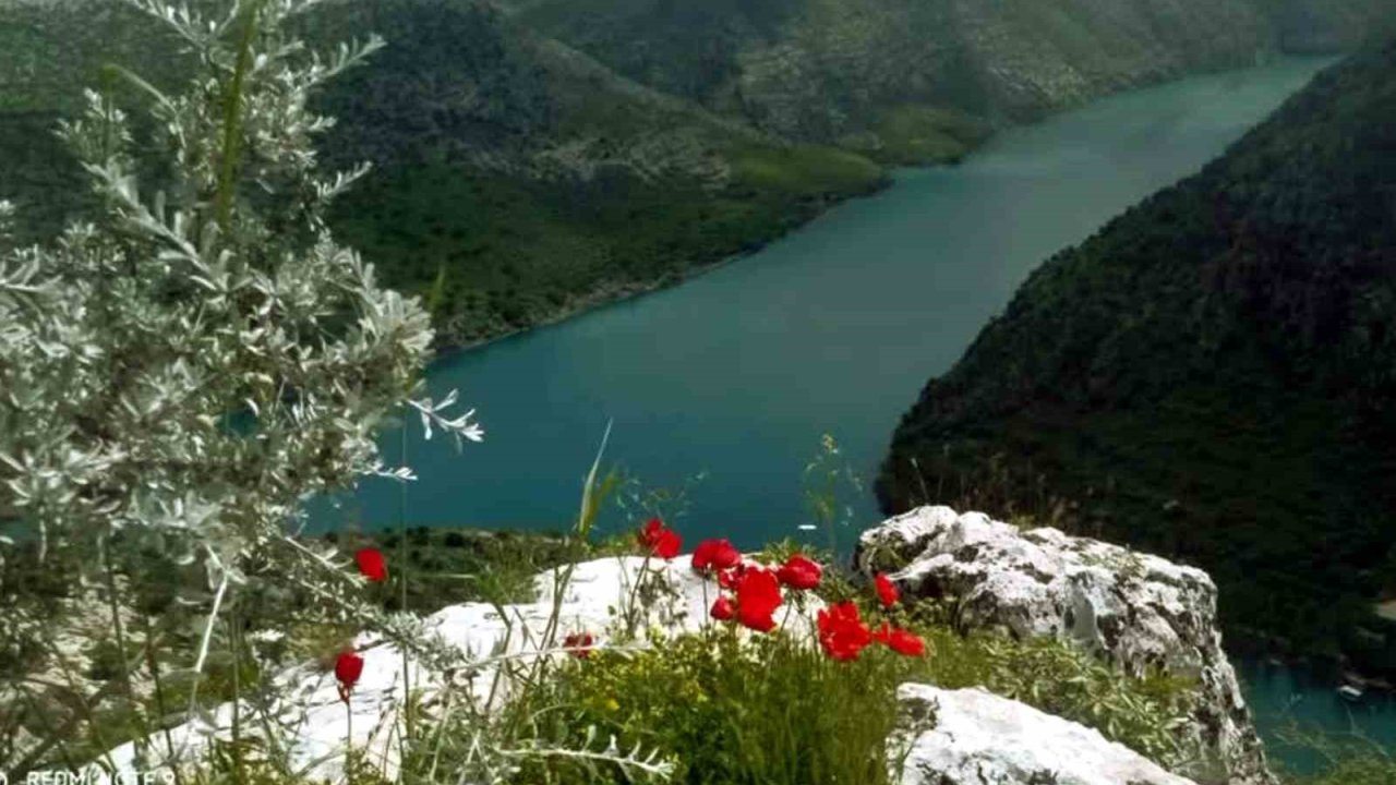 Araban Ovası’na bahar geldi