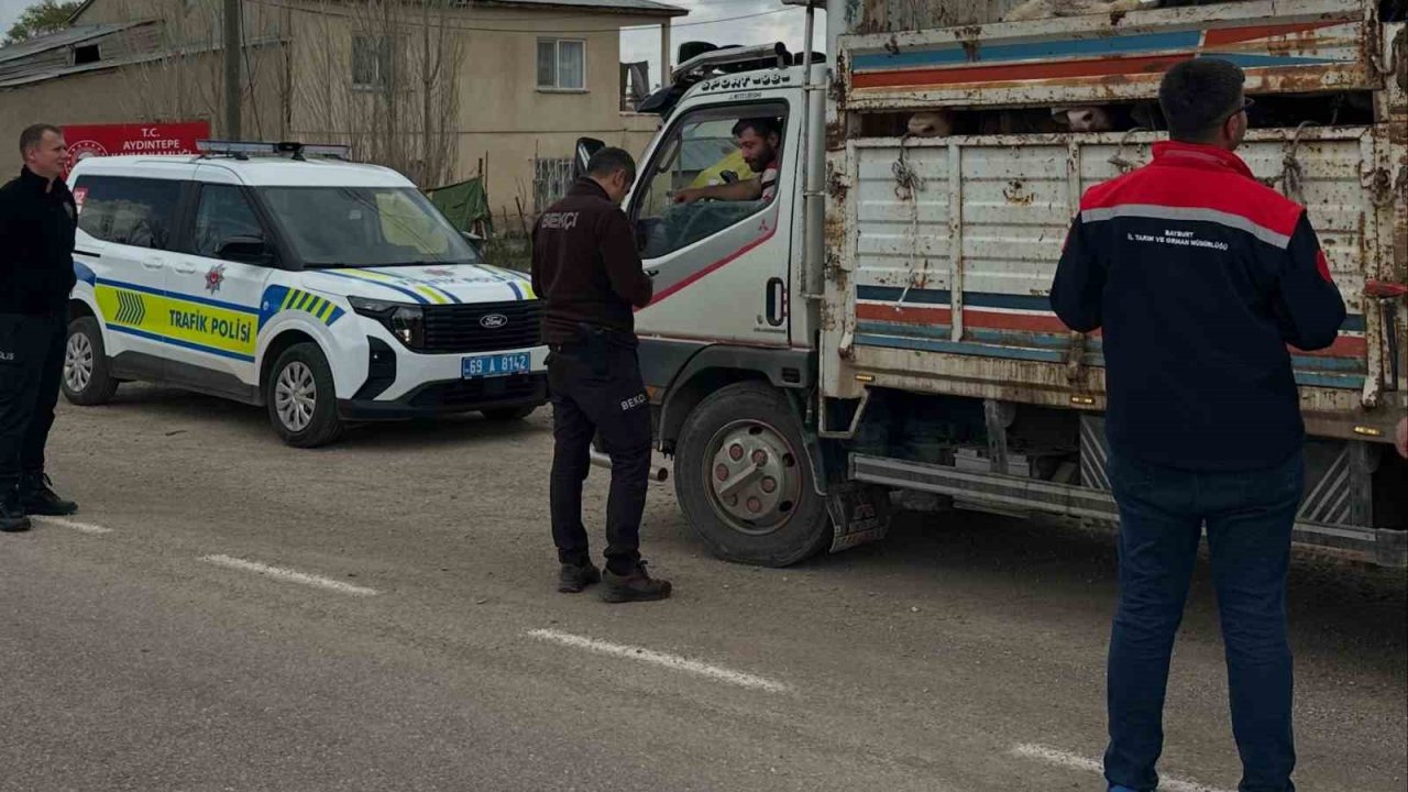 Aydıntepe’de Kurban Bayramı öncesi hayvan nakilleri denetleniyor