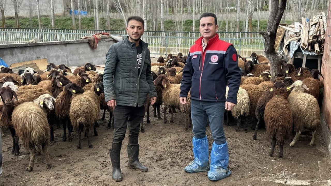 Aydıntepe’de kırsal üretimi destekleyen projede kontroller sürüyor