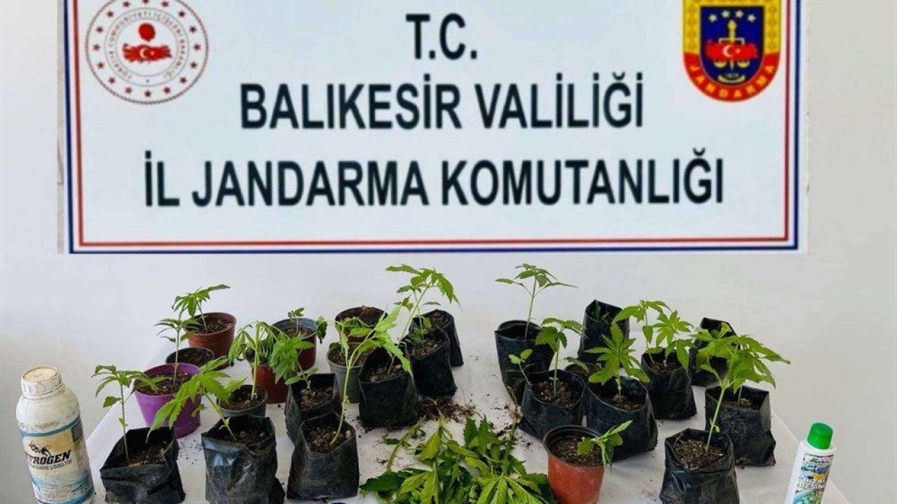 Balıkesir’de uyuşturucu operasyonlarında 64 şüpheli yakalandı