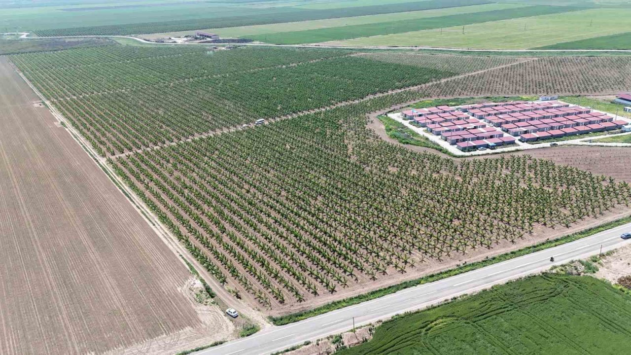 Mesaileri başlayan tarım işçileri, Amik Ovası’nda bin 100 TL yevmiye alacak
