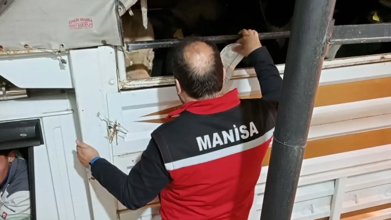 Salihli’de kurbanlık nakli yapan araçlara sıkı denetim