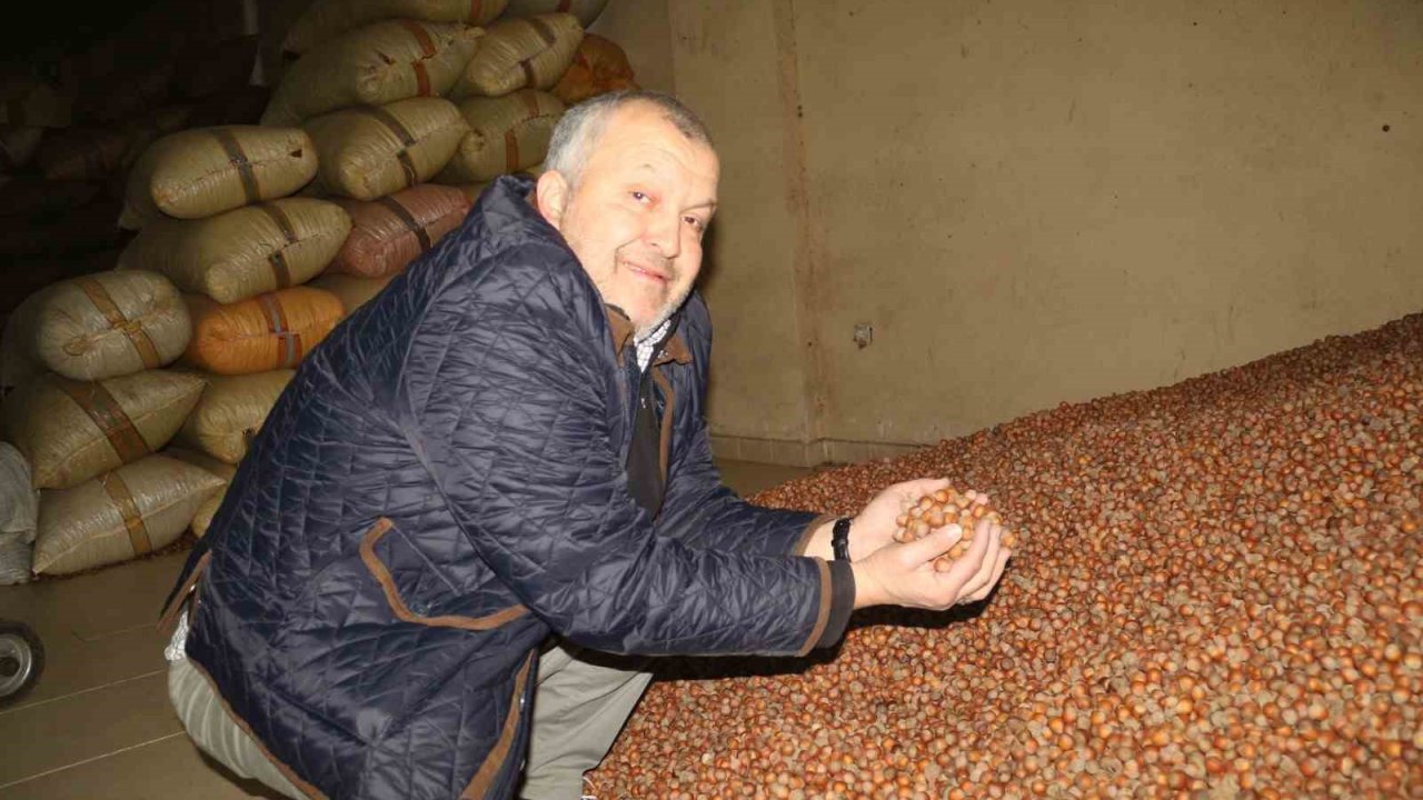 Kurban Bayramı öncesi fındık fiyatları geriledi