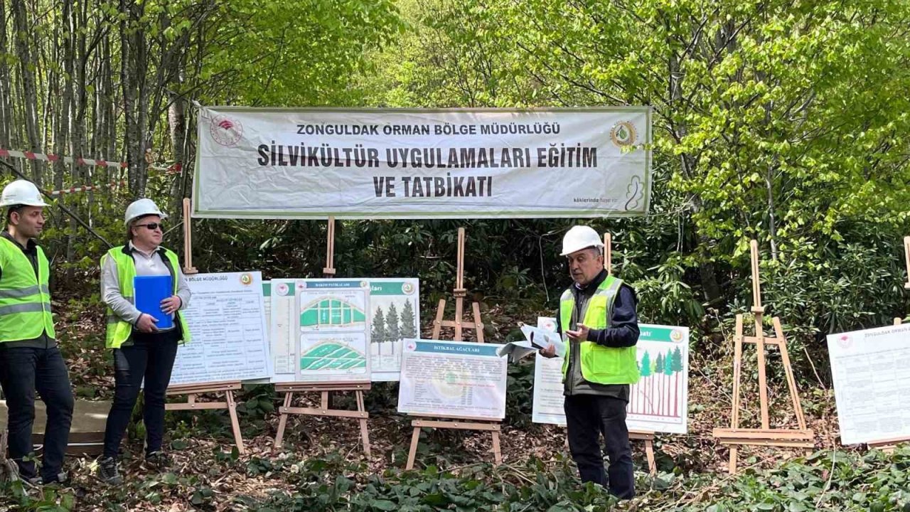 Silvikültür eğitim tatbikatı Yenice’de tamamlandı
