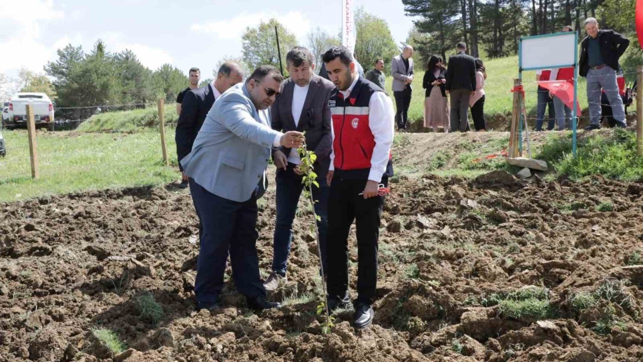 Pazarlar’da atıl durumdaki hazine arazisi tarıma kazandırıldı