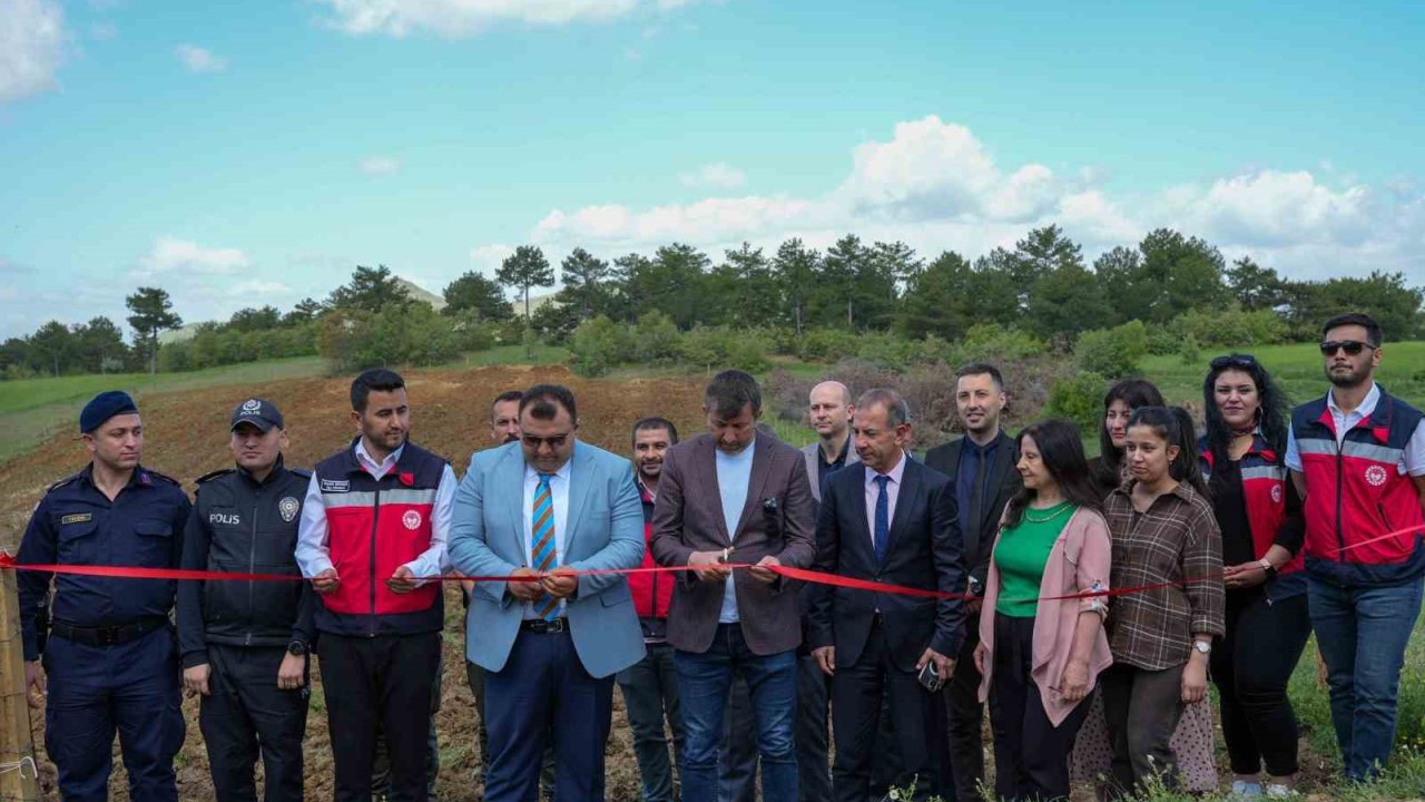 Tescilli Pazarlar Kirazı uygulama alanı hizmete açıldı