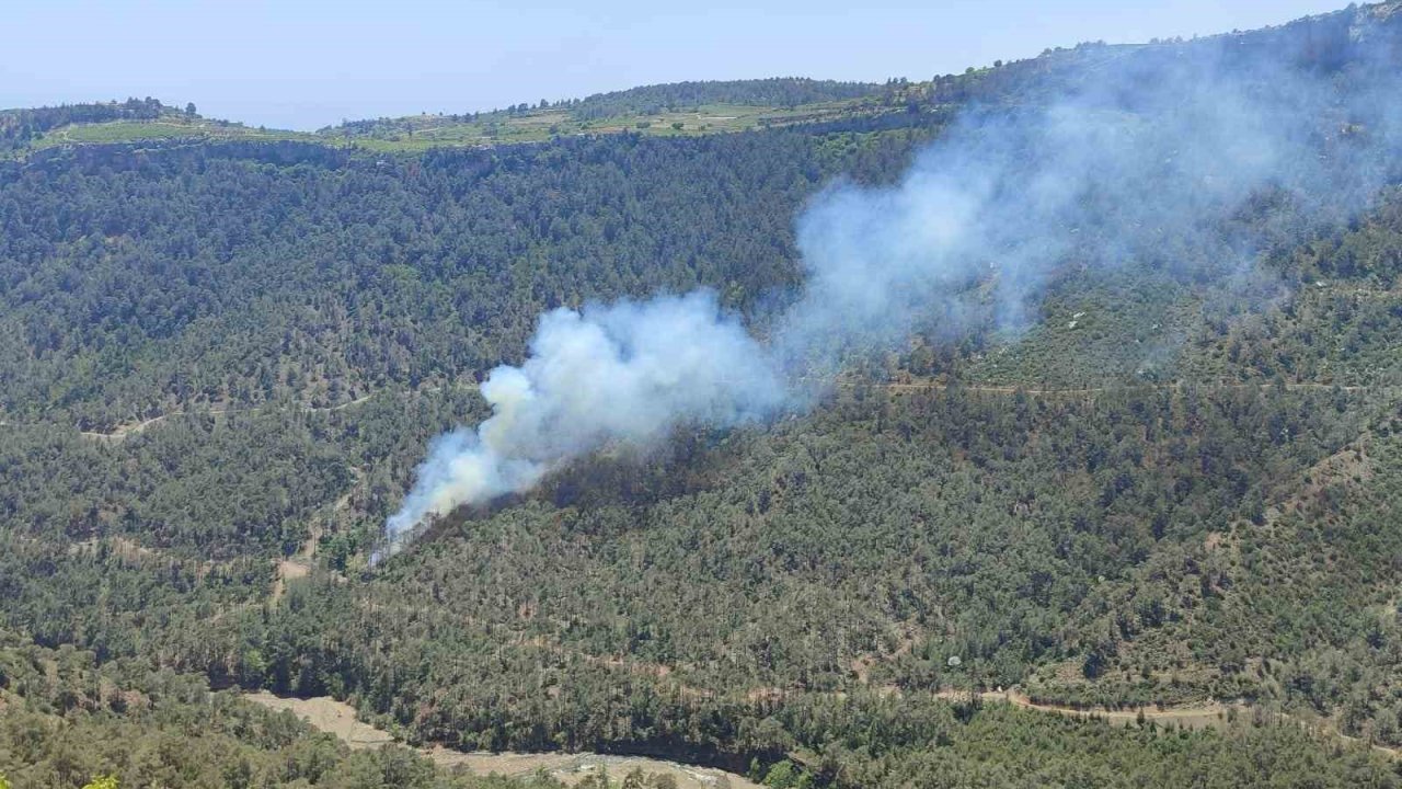 Mersin’de orman yangını: Ekiplerin müdahalesiyle kontrol altına alındı