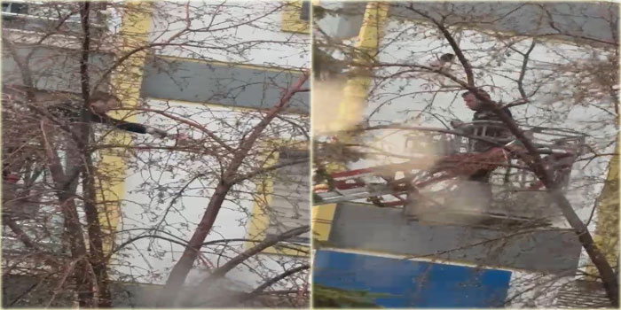 Kars’ta ağaçta mahsur kalan güvercini itfaiye ekipleri kurtardı