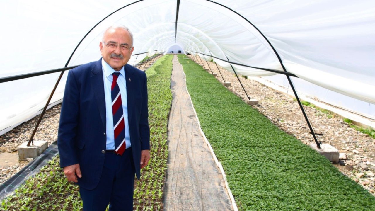 Başkan Güler: "Kendi ürettiğimiz çiçekler ile şehrimizi güzelleştiriyoruz"