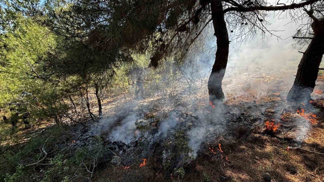 Bilecik’te ormanlık alanda yangın çıktı
