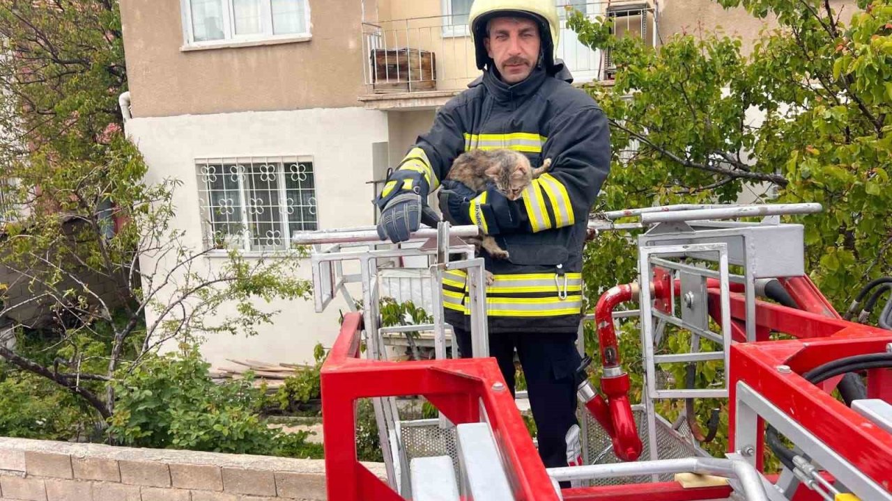 Erzincan’da çatıda mahsur kalan kedi itfaiye ekiplerince kurtarıldı