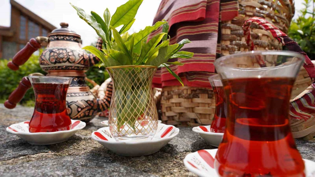 Rize’de Dünya Çay Günü etkinliği