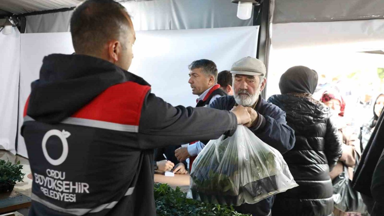Ordu Büyükşehir, 7 yılda 5 milyona yakın fide dağıttı