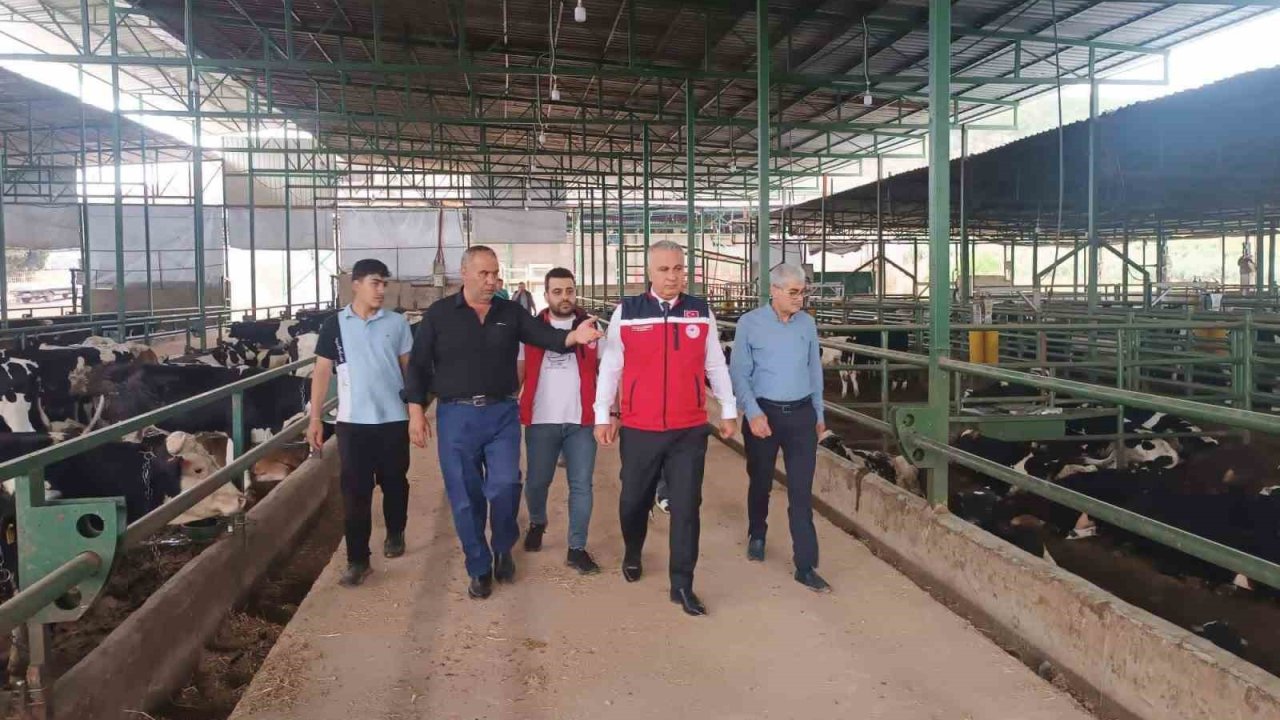 Kurban Bayramı öncesi hayvan satış yerlerinde sıkı denetim