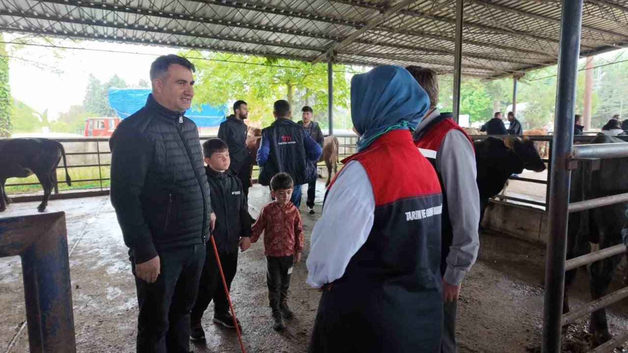 Hayvan sevkiyatına sıkı kontrol