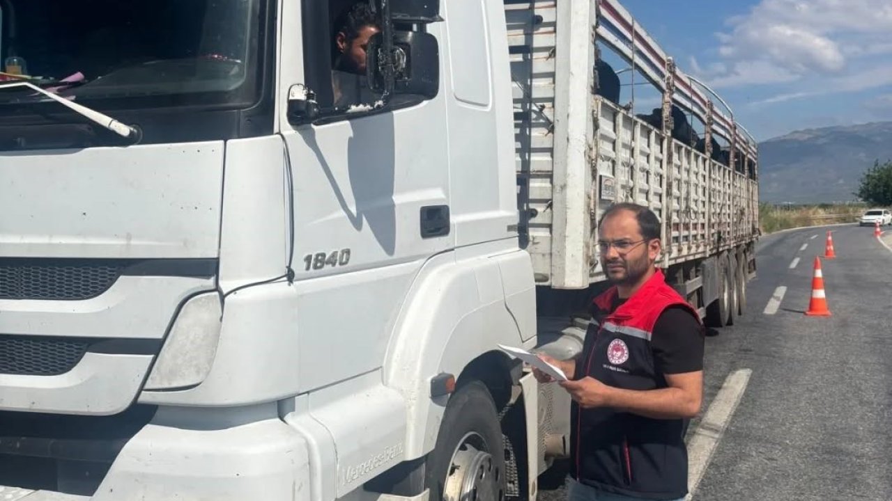 Aydın’da kurbanlık nakil yol kontrolleri yapıldı