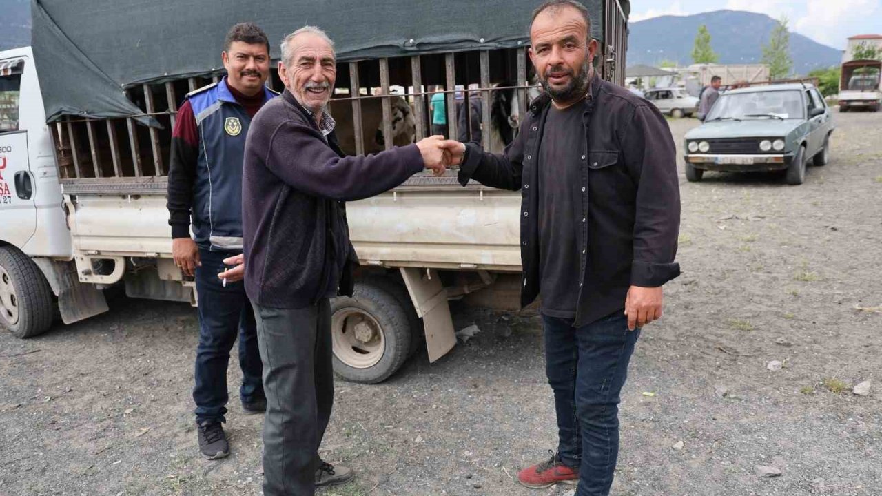 Çameli Kurban Pazarında bayram yoğunluğu ve sıkı denetim başladı