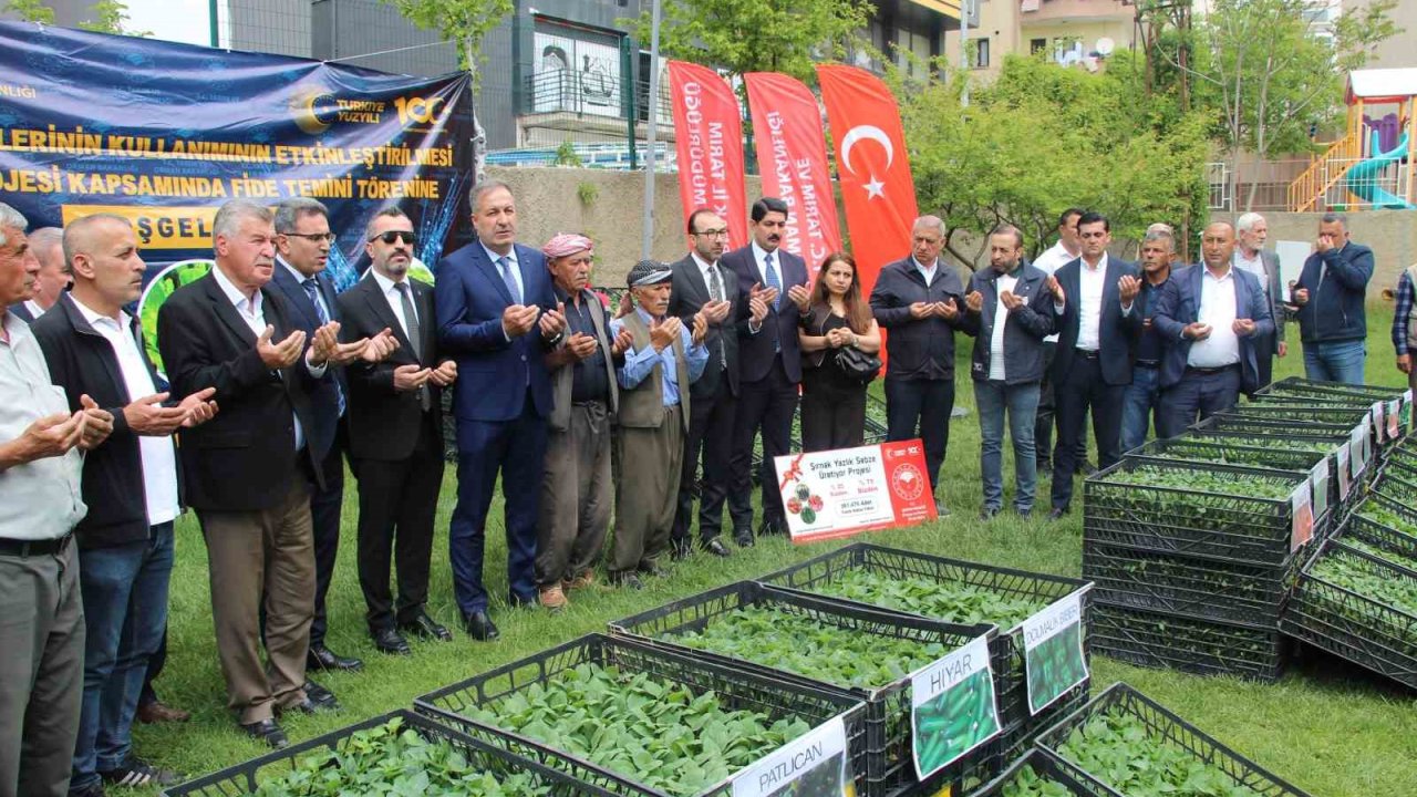 Şırnak’ta 252 üreticiye sebze fidesi dağıtıldı