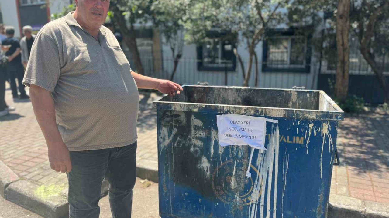 Poşetler içinde bulunan 33 ölü kedi ile ilgili soruşturma başlatıldı