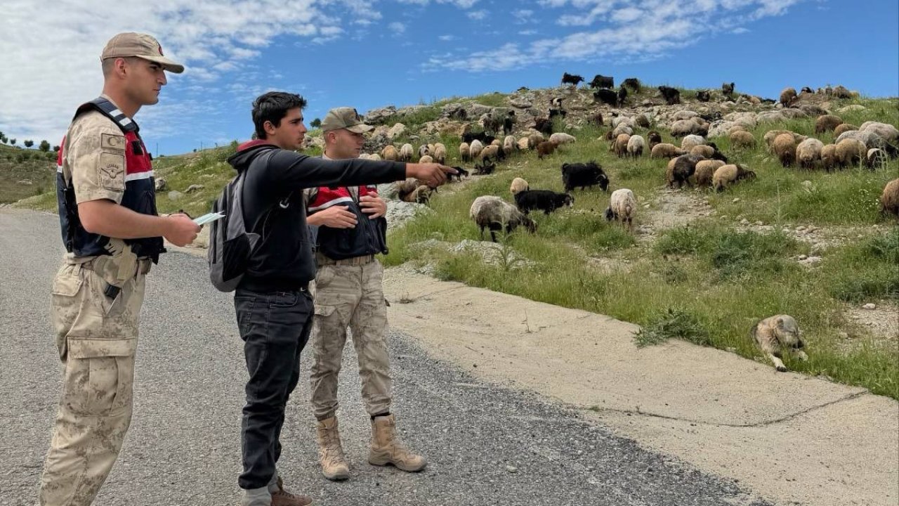 Batman’da Jandarma, Kurban Bayramı öncesi hırsızlara karşı besicileri uyardı