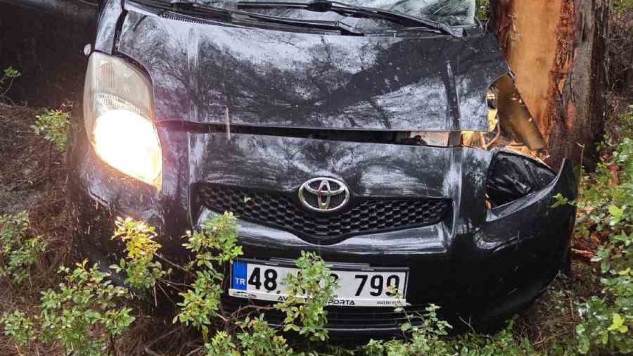 Kontrolden çıkan otomobil ormanlık alana uçtu: 1 yaralı