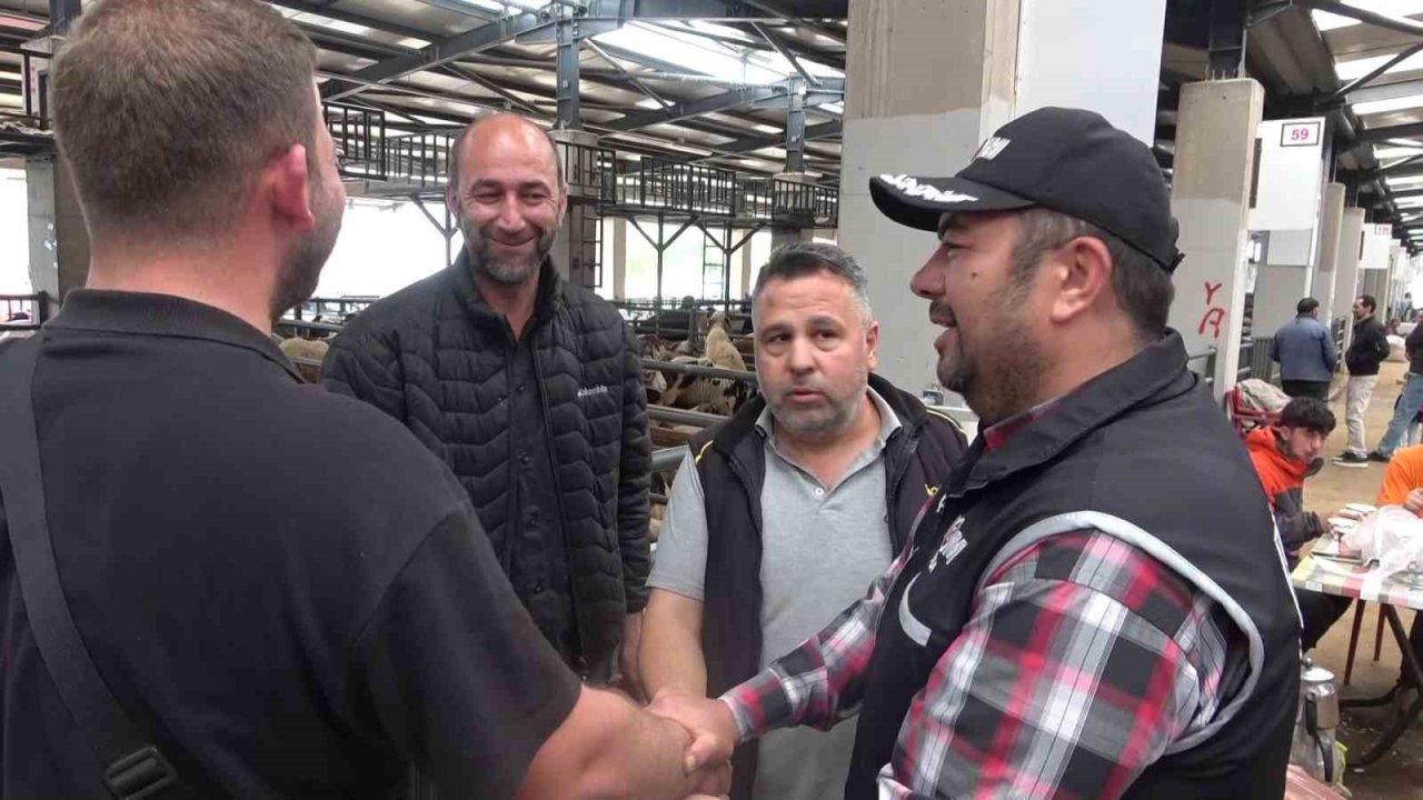 Kurban pazarında güldüren anlar :Mali Polis çetin pazarlığa dahil oldu